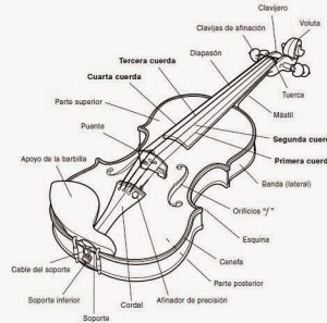 Partes del violín